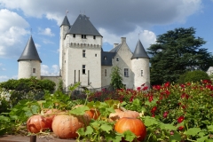 Le-chateau-du-Rivau-scaled